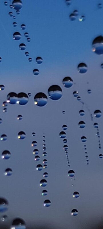 Капли росы на паутине - Наталия 