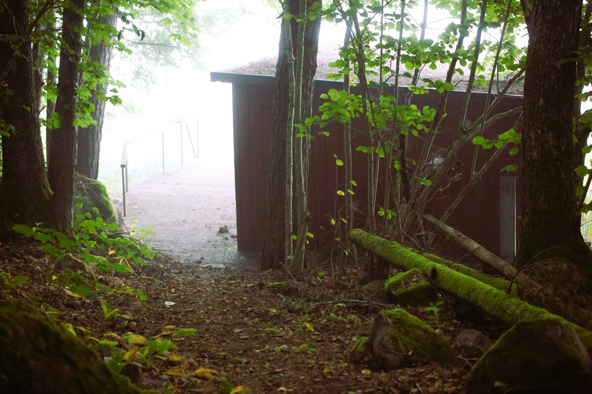 К молочным берегам - liudmila drake