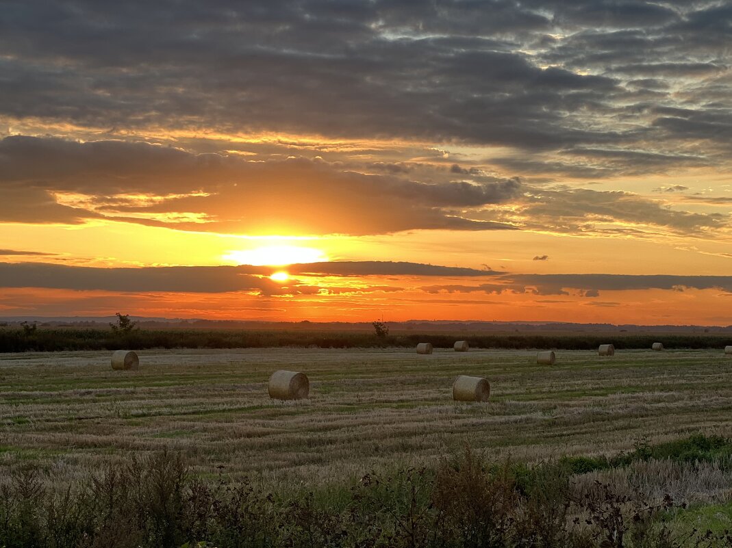 Сенокос - Натали Королева