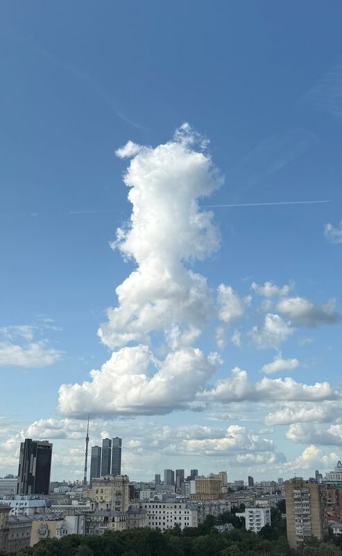 "Тучки небесные, вечные странники....." - Александр Володарский