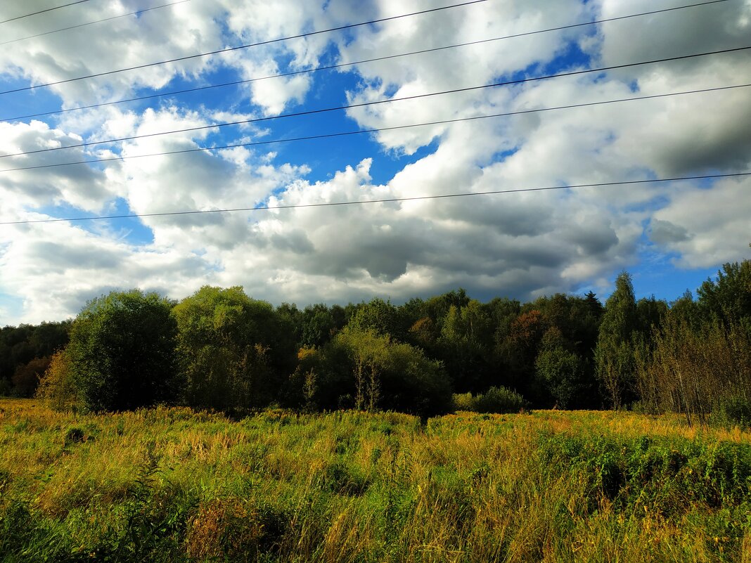 Никак Бабье лето?! - Андрей Лукьянов Никак Бабье лето?! - Андрей Лукьянов