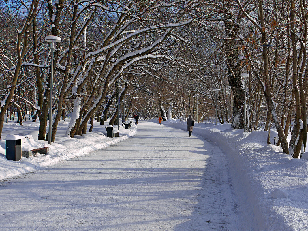 В городском парке - Игорь Белоногов