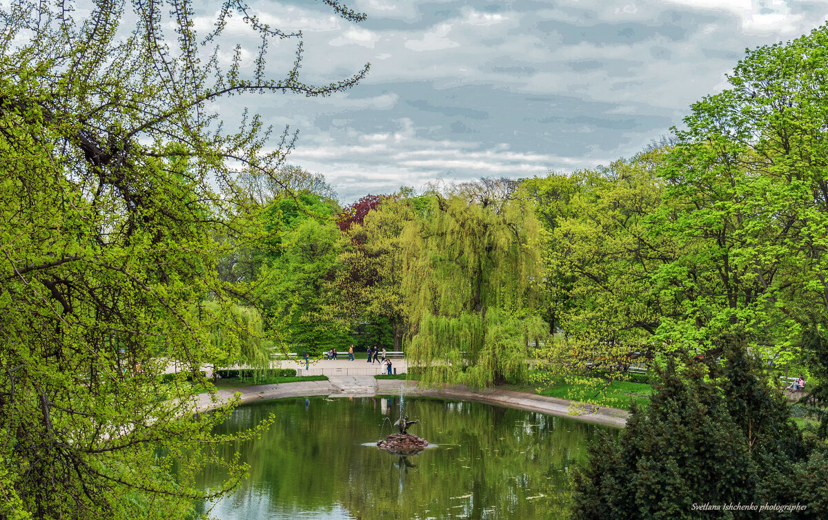 Пруд в Саксонском саду - Светлана Ищенко