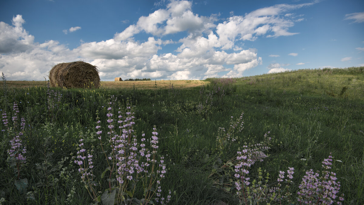 Июль - **** vedin