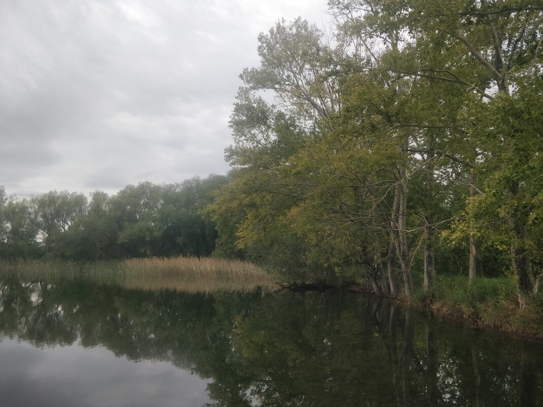 Тишина - Андрей Хлопонин