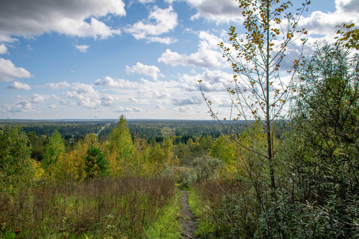 - - Владимир Мигонькин