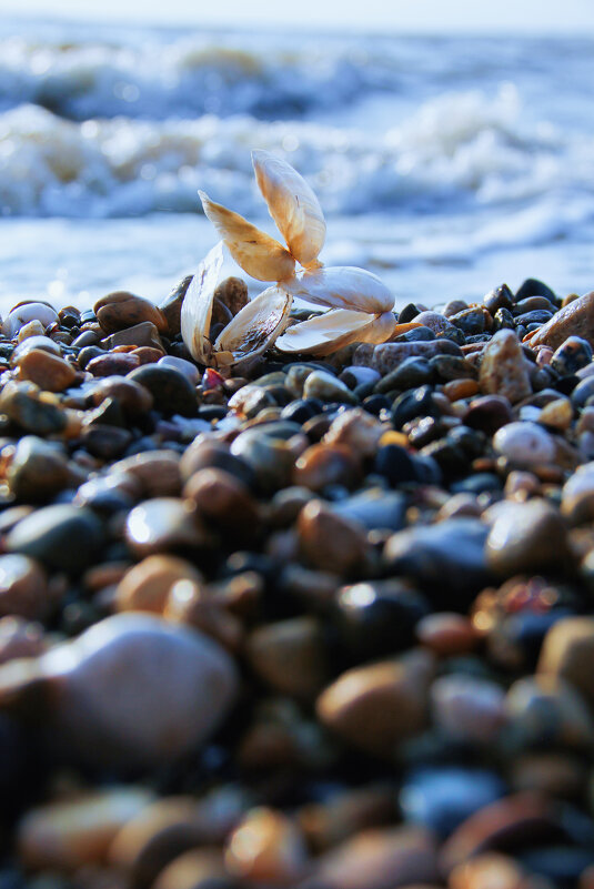 на закате дня - Oksana Verkhoglyad