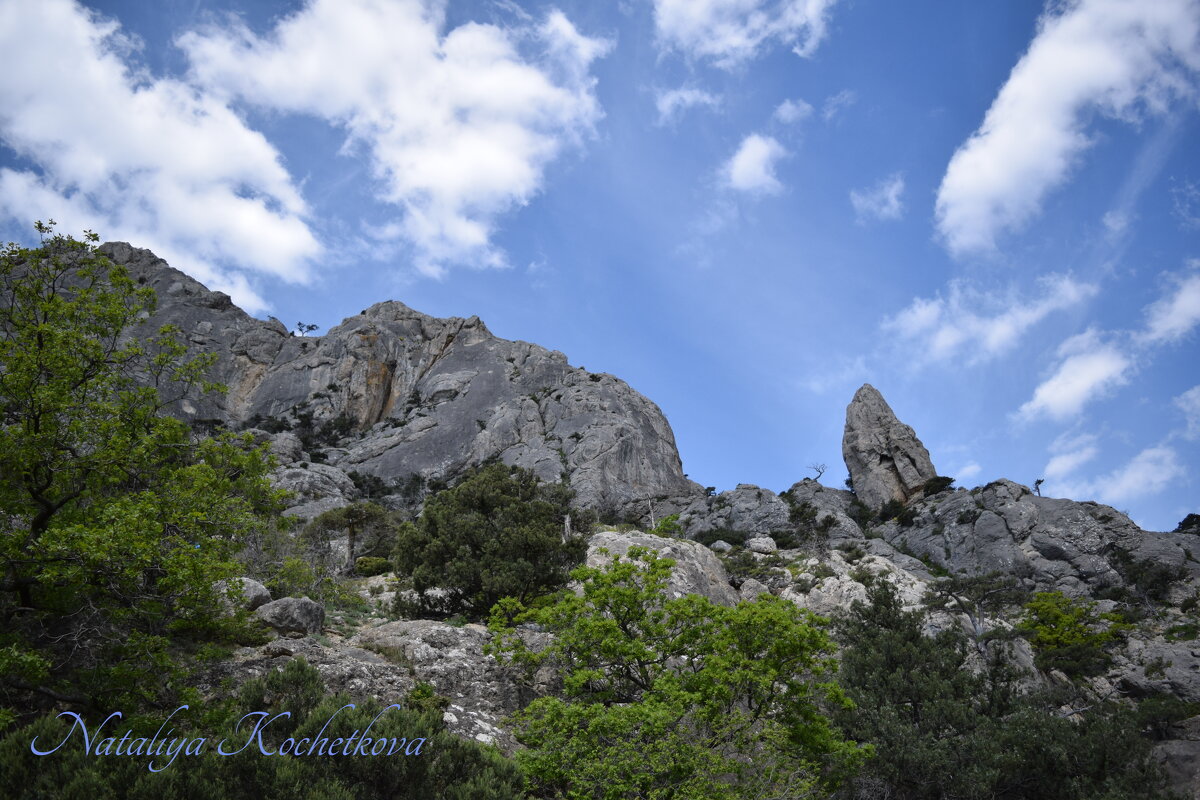Природа Крыма - Amazing Cosmea