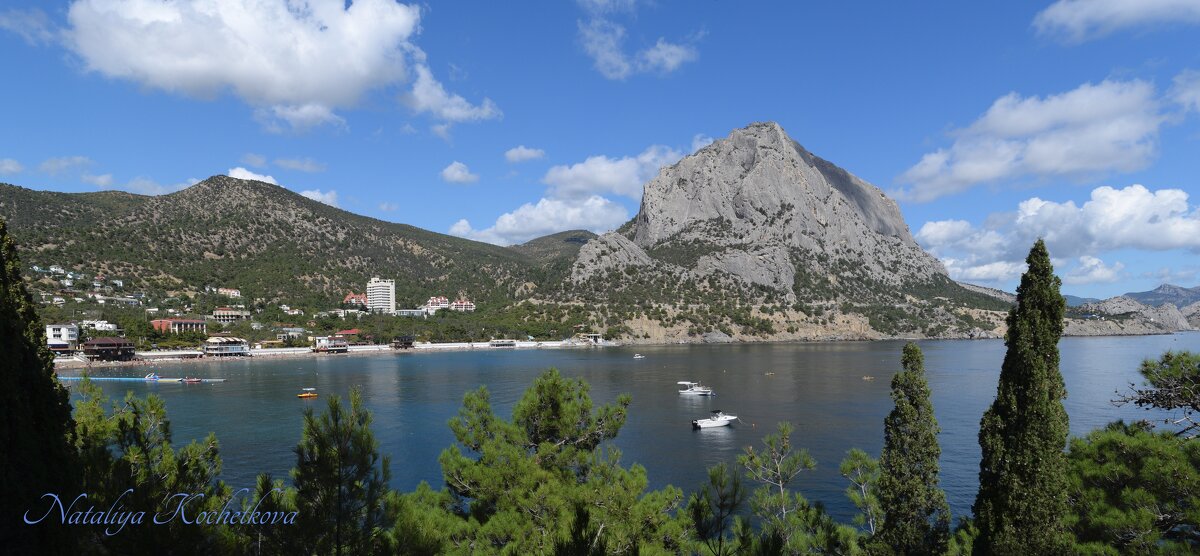 Природа Крыма - Amazing Cosmea