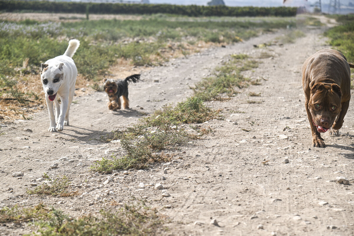 прогулка - Осень 