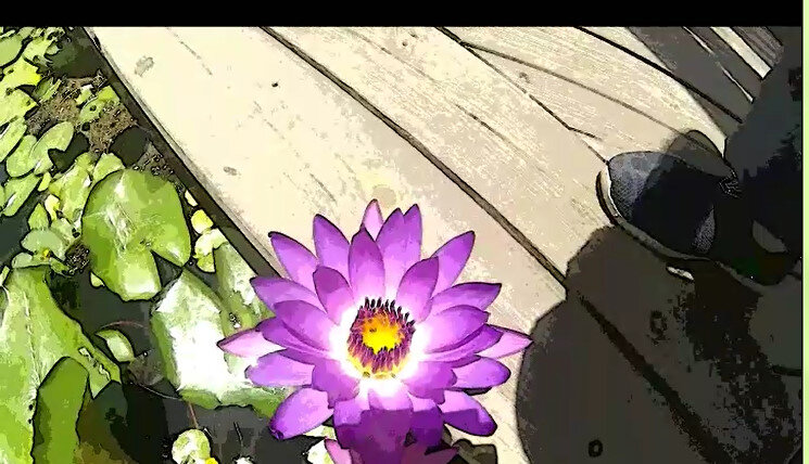 113 (62) - CLOSE WAYS ALL