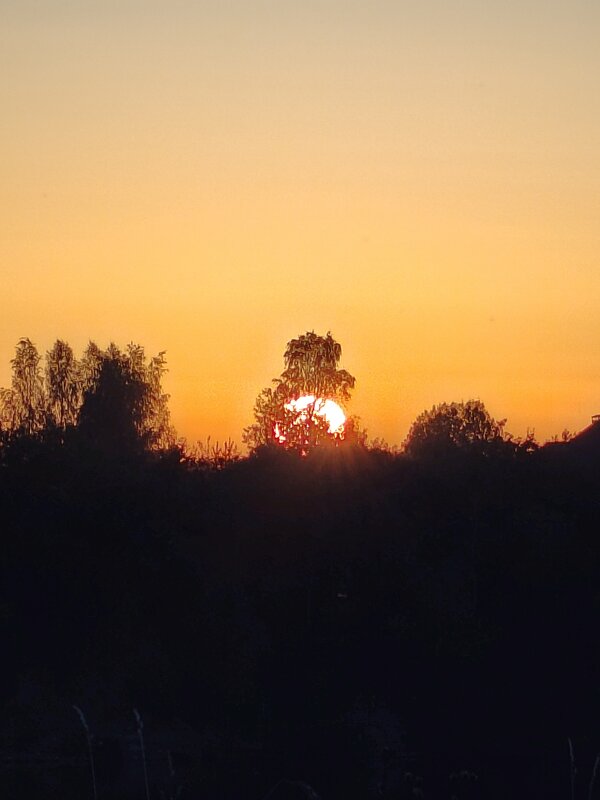 Рано темнеет - Андрей 