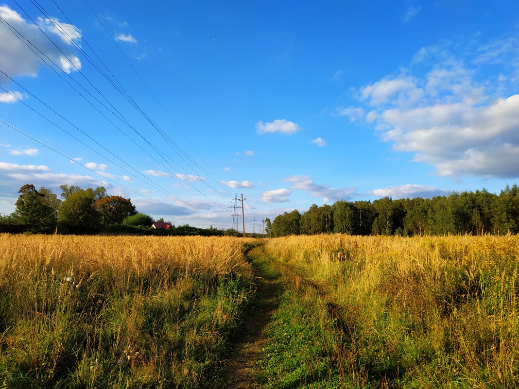 Бабье лето как оно есть - Андрей Лукьянов Бабье лето как оно есть - Андрей Лукьянов