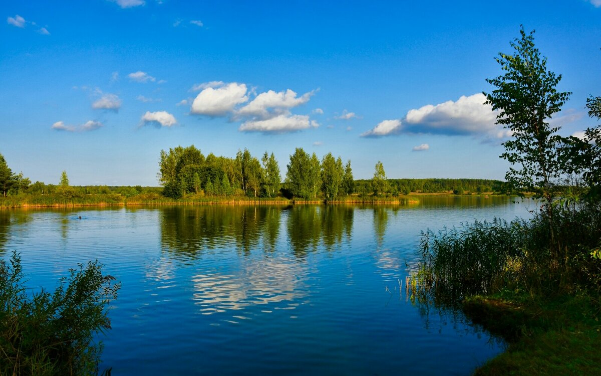 Смоленщина в начале сентября. - Милешкин Владимир Алексеевич 