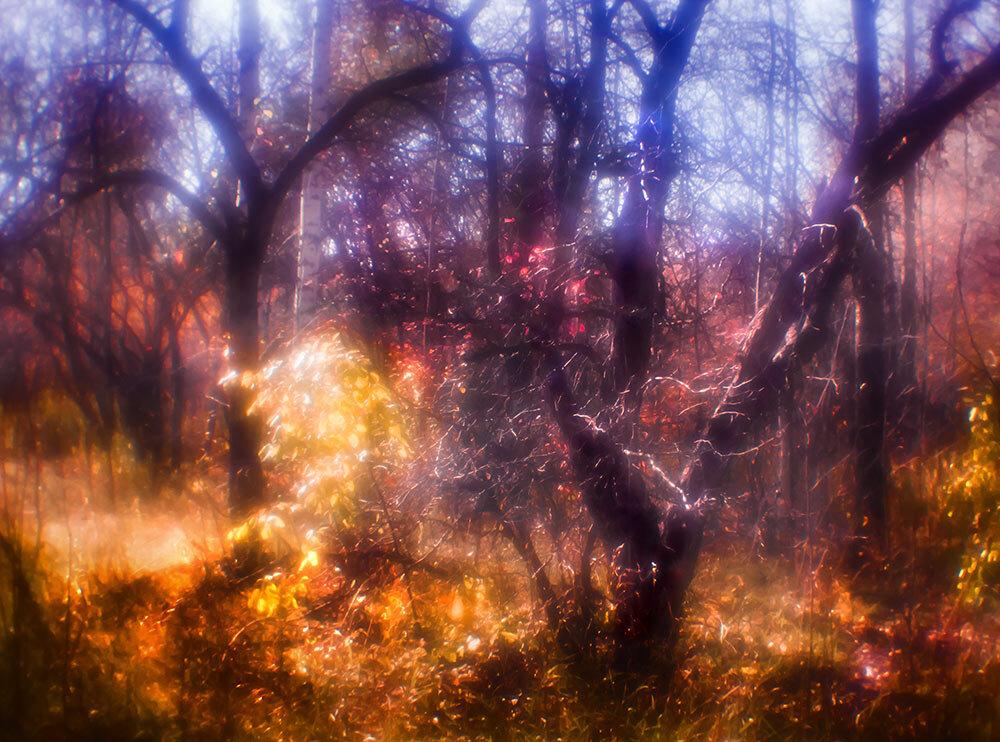 Монокль - SanSan 