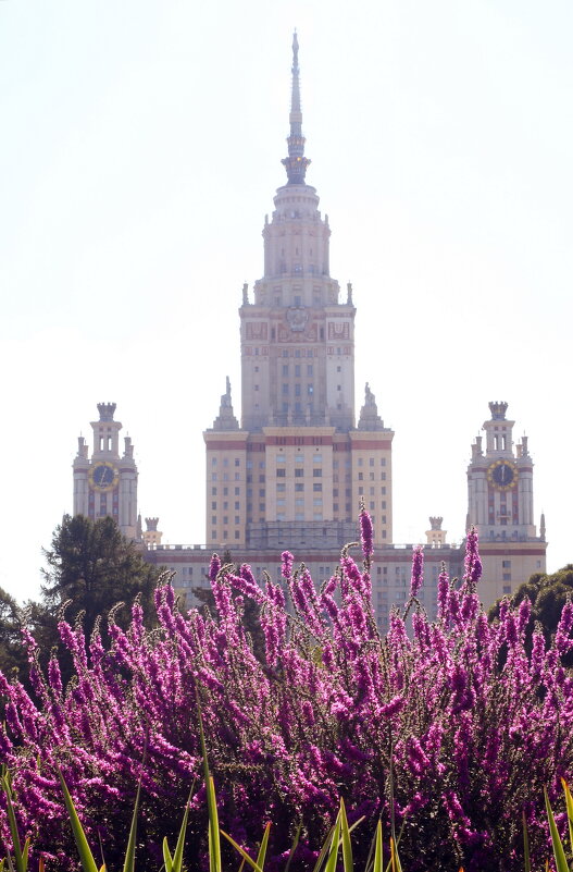 Дербенник 6 сентября - Михаил Бибичков Дербенник 6 сентября - Михаил Бибичков