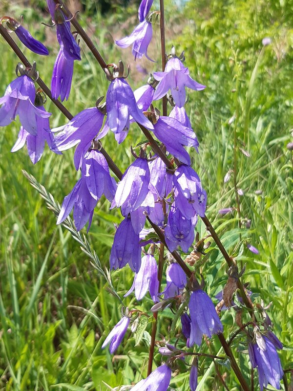 Это было в августе - Галина Минчук