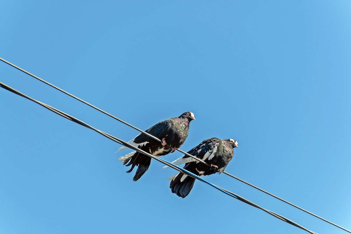 Свидание - Валерий Иванович