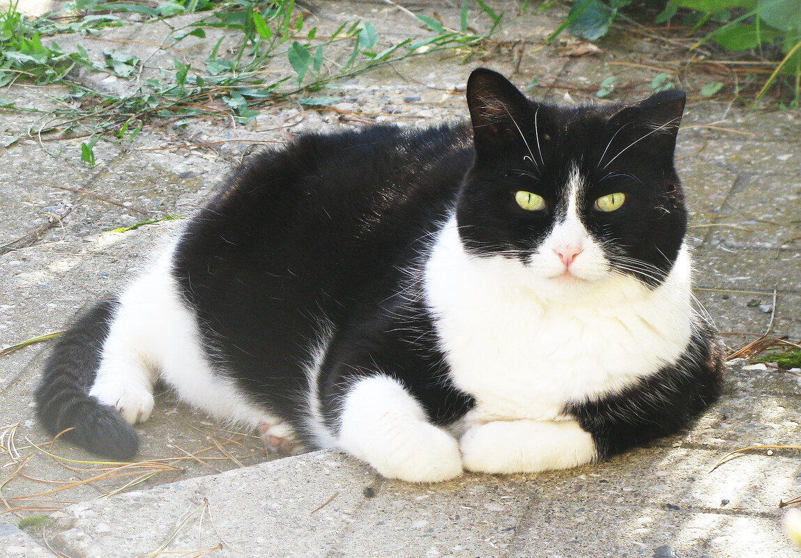 Я отдыхаю - Людмила Смородинская