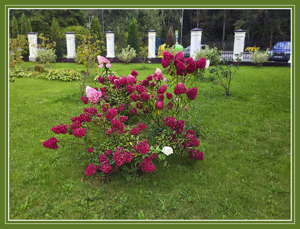 КУСТИК - Владимир Кроливец