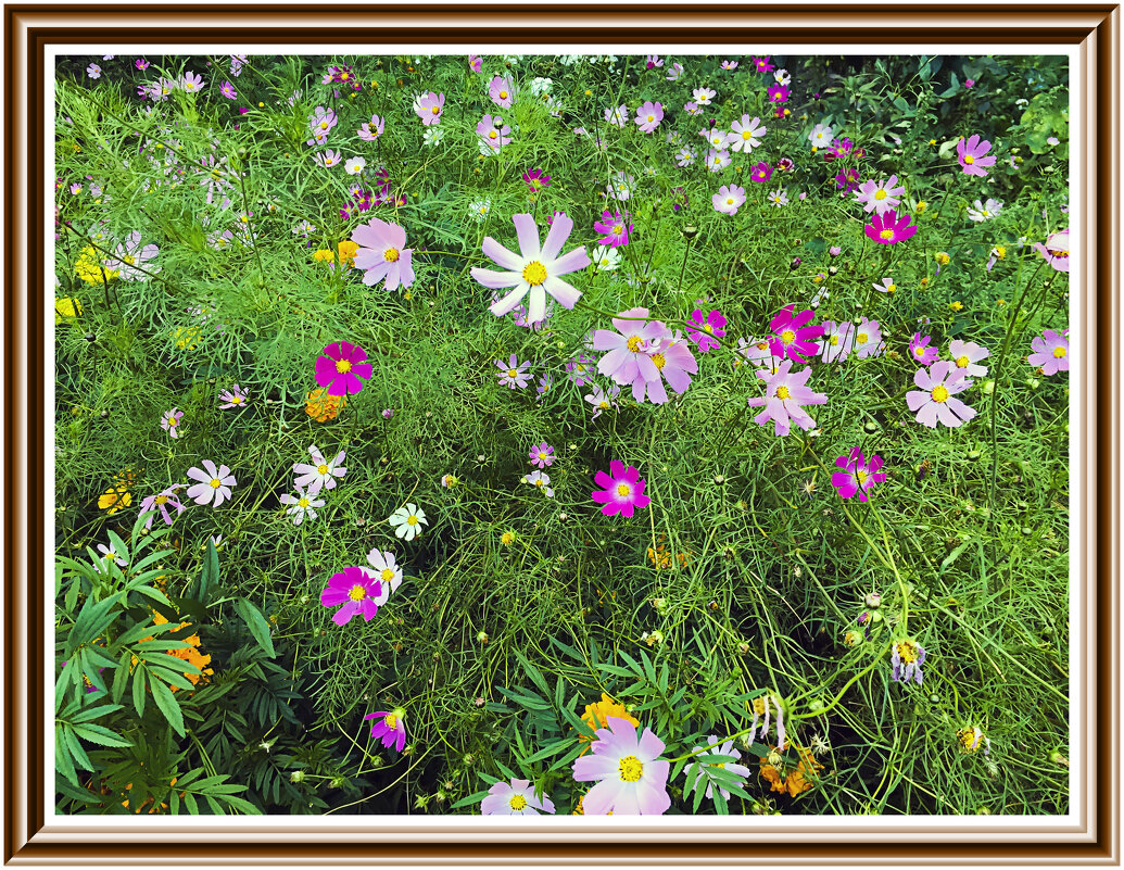 Весёлые ребята или ситец - Владимир Кроливец