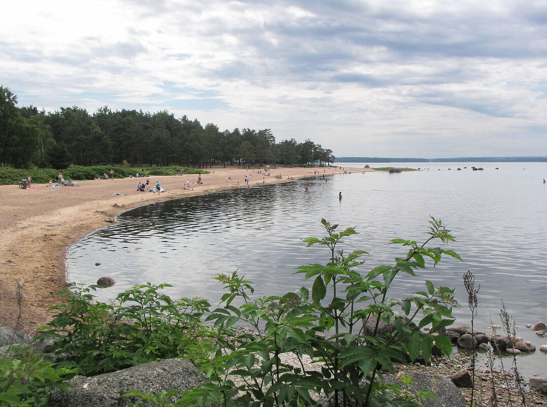 Пляж - Александр Ильчевский Пляж - Александр Ильчевский