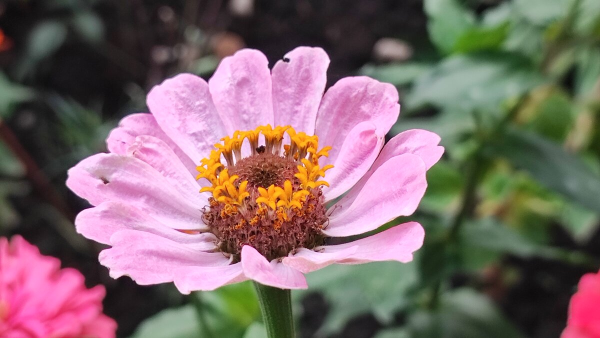 ,,, - Сергей Тимоновский