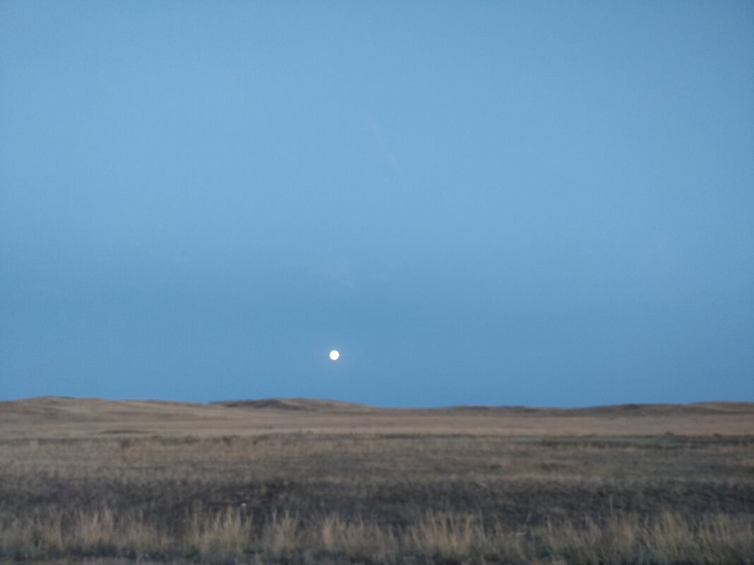 Лунный свет. - Андрей Хлопонин Лунный свет. - Андрей Хлопонин
