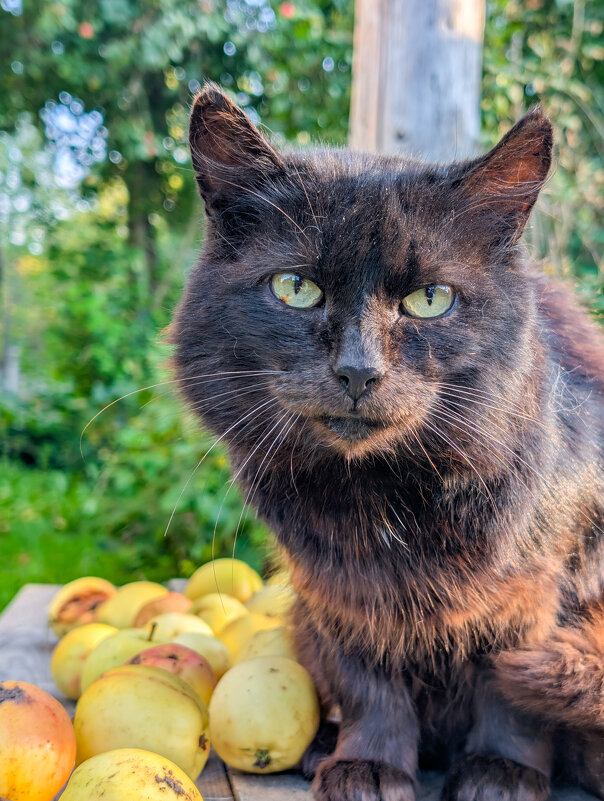 Бандюга - Анастасия Логинова