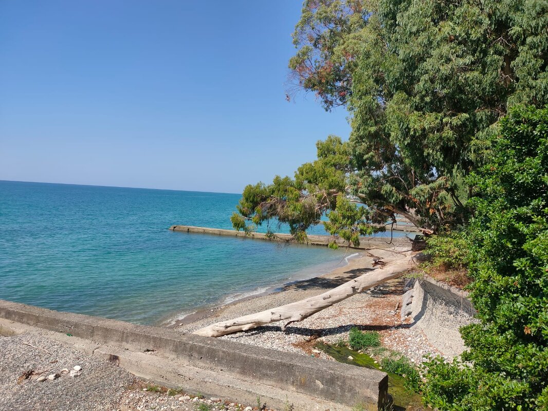 Новый Афон - Ирэн 