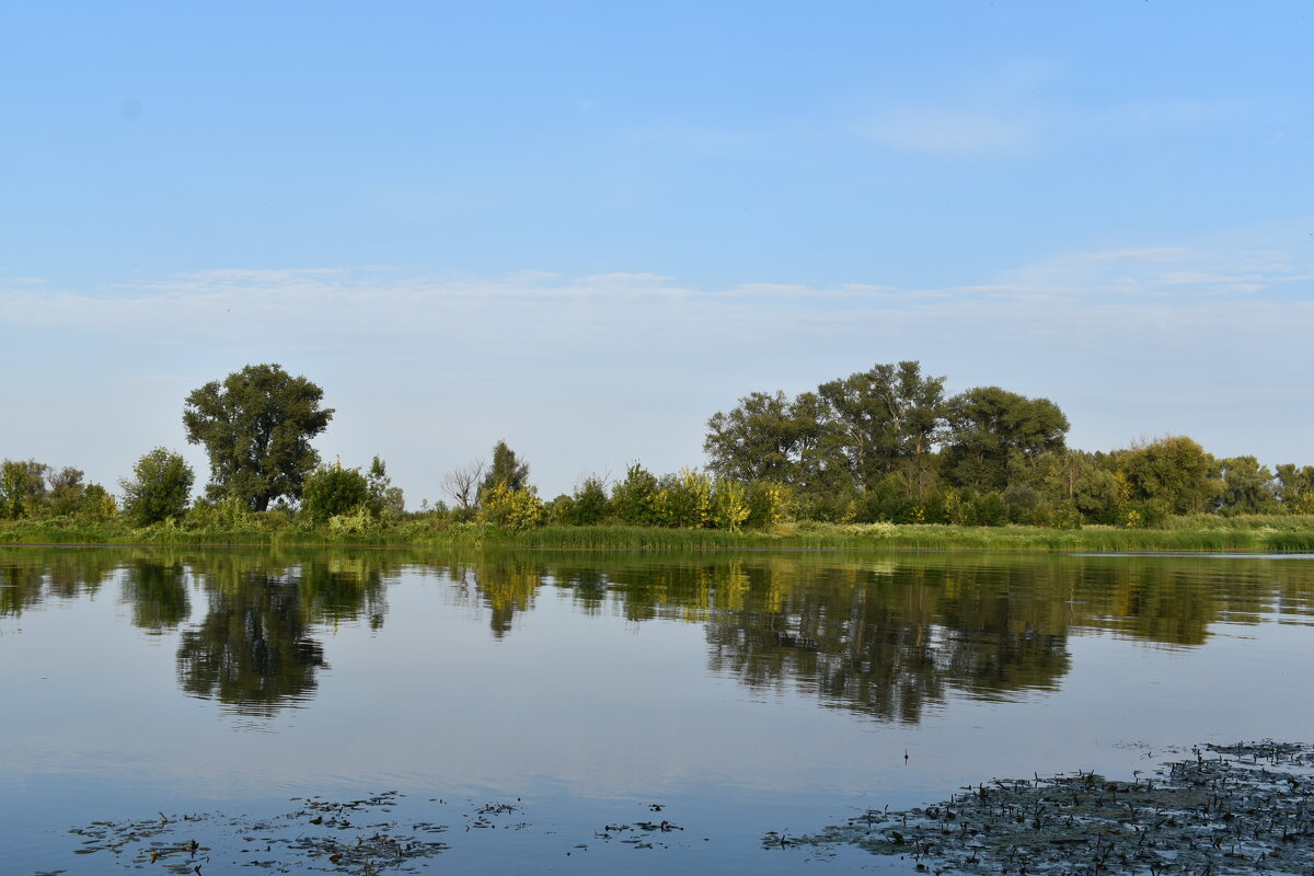 На Большом Иргизе - Alex182 На Большом Иргизе - Alex182