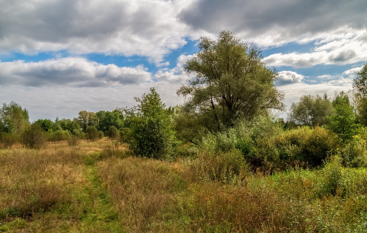 Осень она не спросит ... - Андрей Дворников