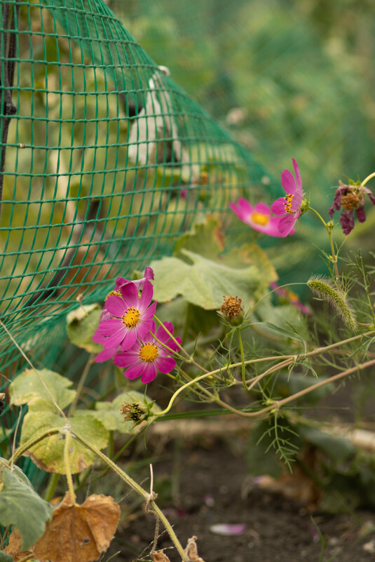 Осень - Александр Алексеев