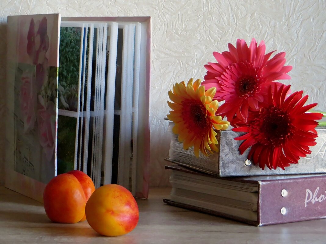 В домашнем альбоме хранится фотокопия нашей судьбы - Татьяна Смоляниченко