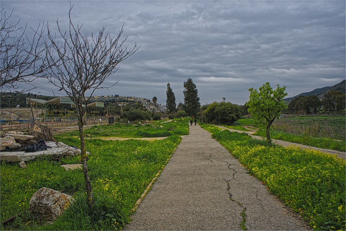 В долине Кирьят Харошат Вальруй. Под Кирьят-Тивоном 2025г - ujgcvbif 