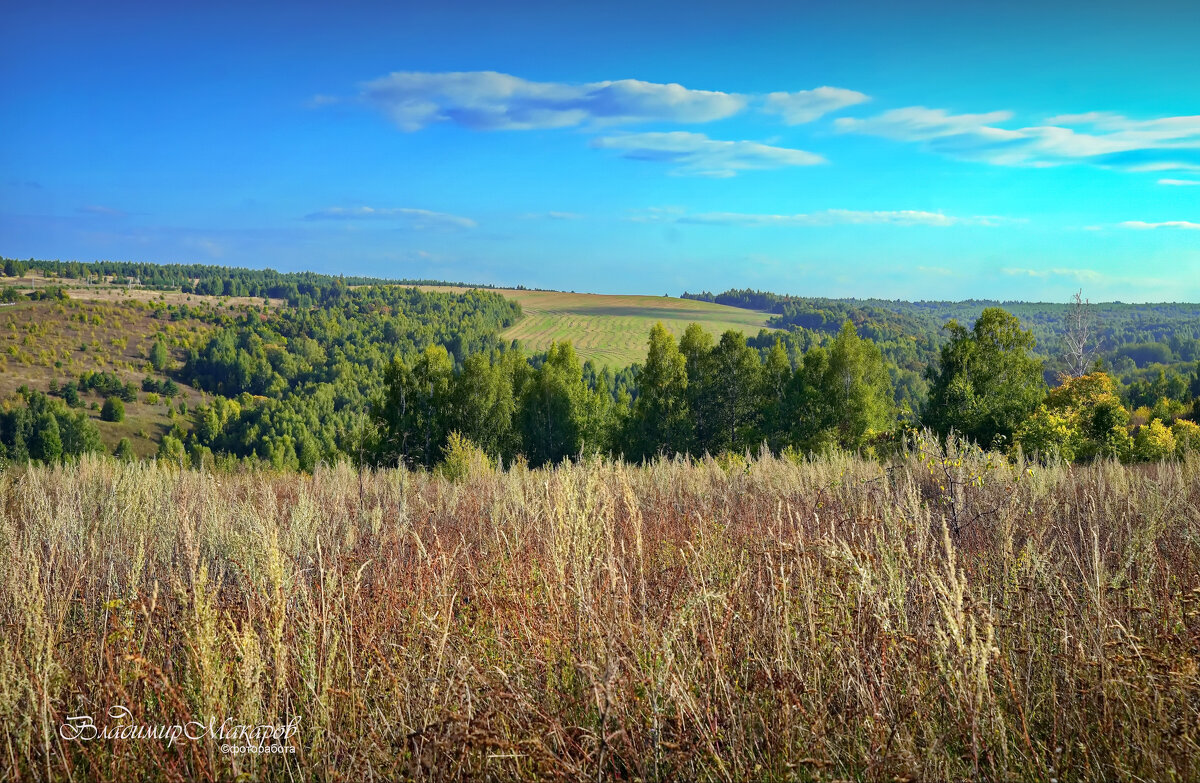 "С водолеевской горки в сентябре"© - Владимир Макаров