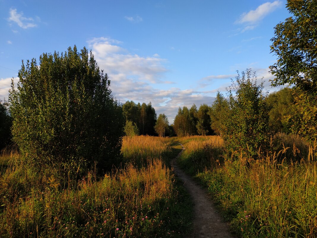 Вот, моя деревня - Андрей Лукьянов