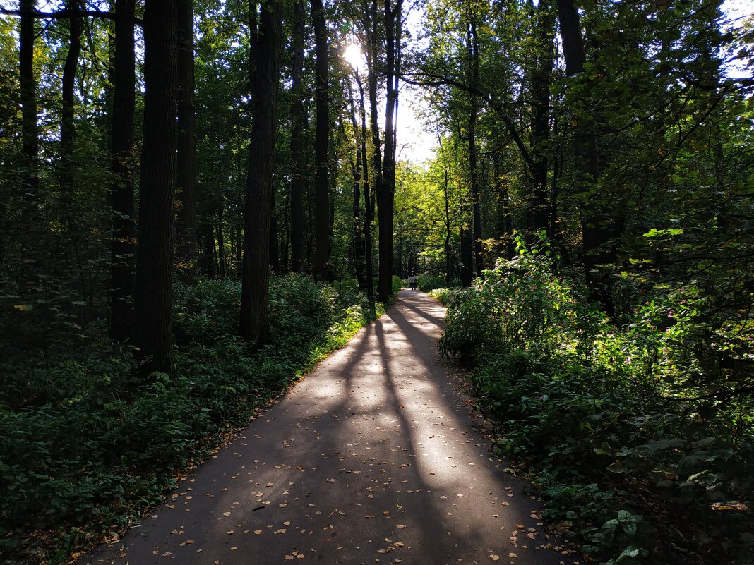 Бабье лето - Андрей Лукьянов