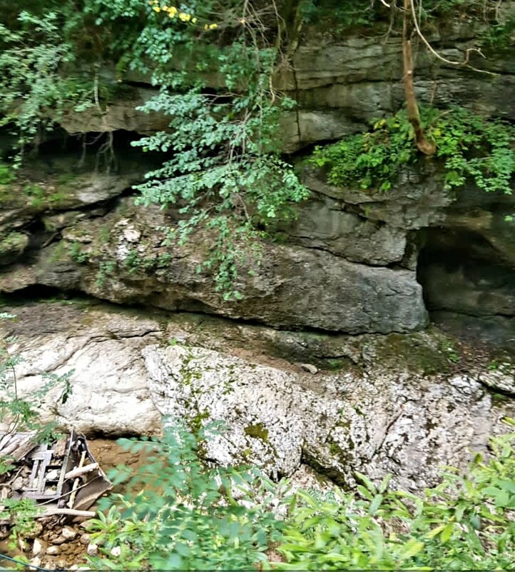 ГУАМСКОЕ УЩЕЛЬЕ - Tata Wolf