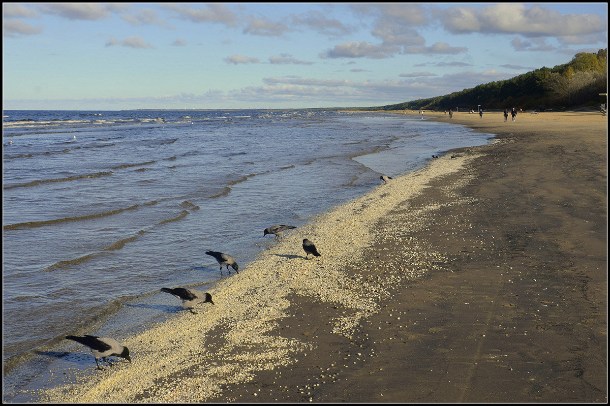 Кушать подано... - Aleksandr Gal Кушать подано... - Aleksandr Gal