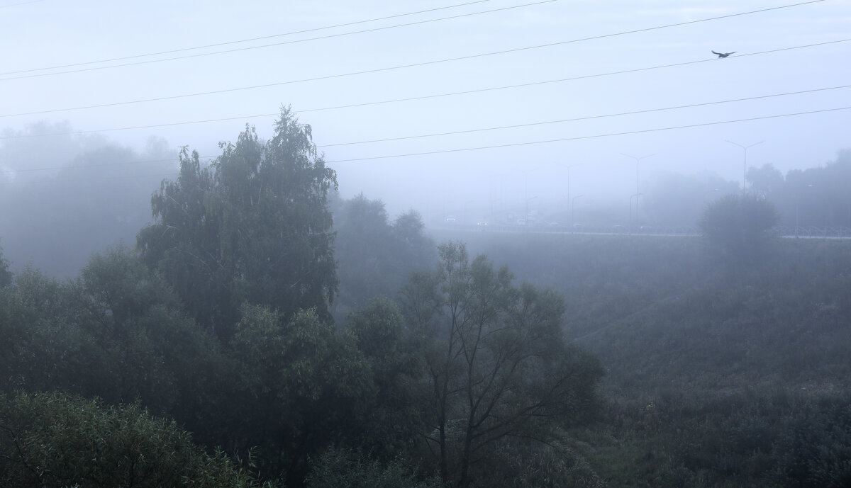 ....... - Вадим Виловатый