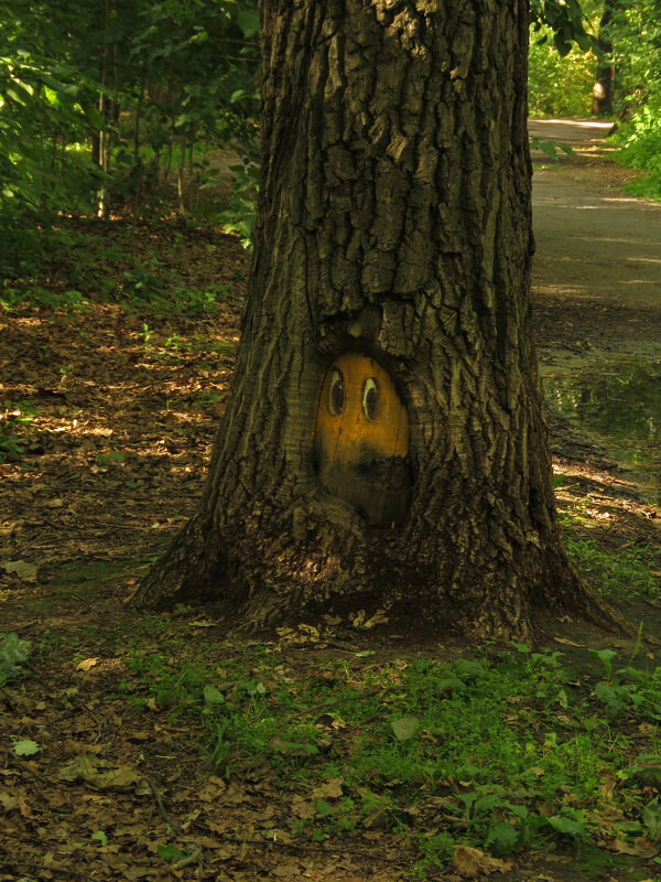 Еще один партизан в Лианозово - ИРЭН@ .