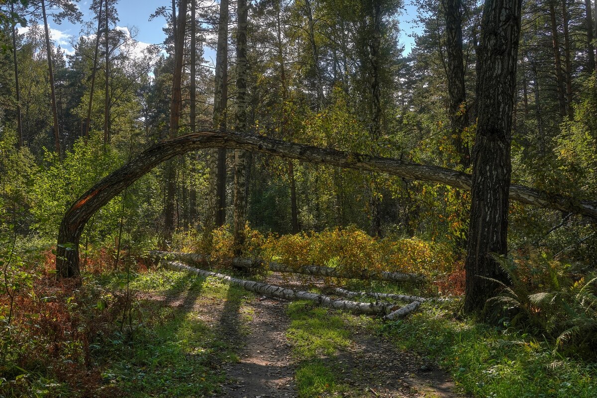 *** - Владимир 