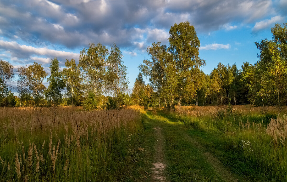 Осень она не спросит ... - Андрей Дворников