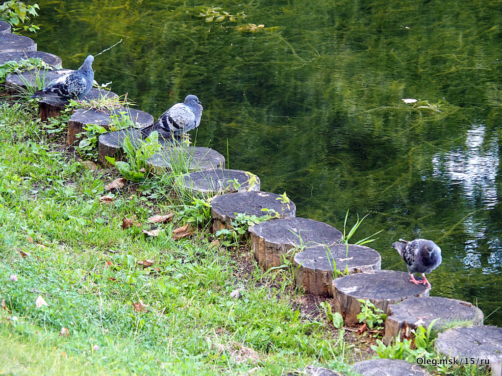вот и осень - Олег Лукьянов вот и осень - Олег Лукьянов