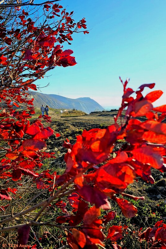 Берег морской - Светлана 13.06.