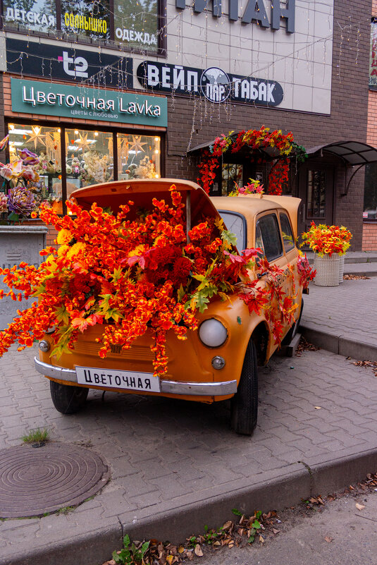 Осень - Светлана Мишенёва