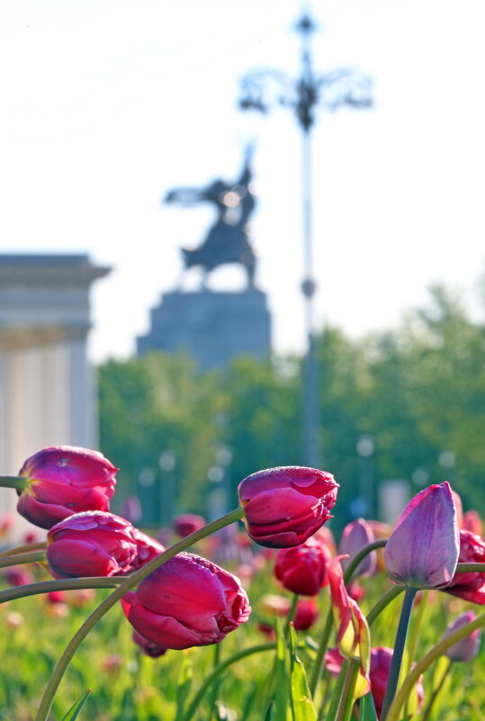 Май на ВДНХ - Михаил Бибичков