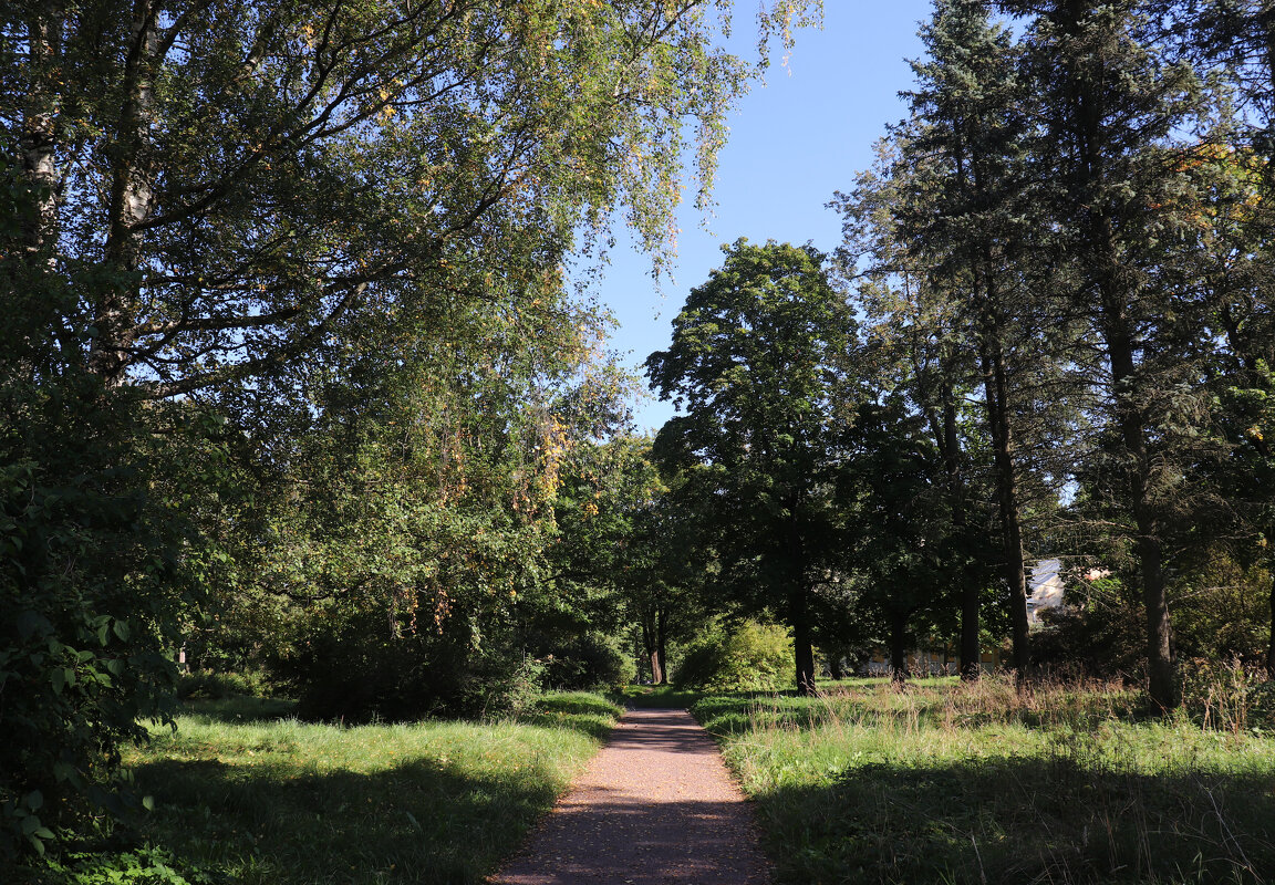 Павловский этюд. - Наталья Лунева 