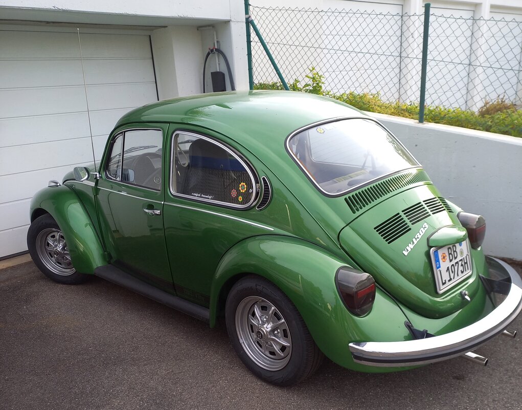 Жук зелёный - Сергей Порфирьев